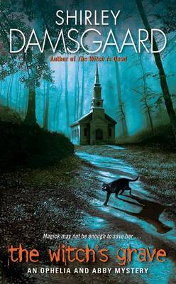 Book cover for The Witch's Grave
