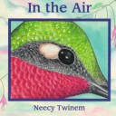 Book cover for In the Air