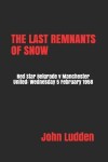 Book cover for The Last Remnants of Snow
