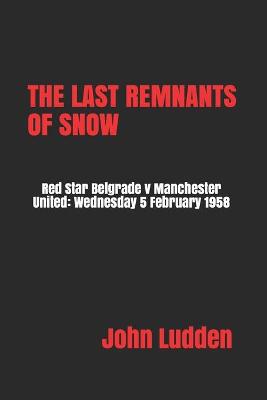 Cover of The Last Remnants of Snow