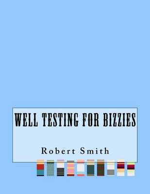 Book cover for Well Testing For Bizzies