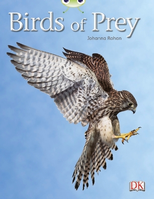 Cover of Bug Club Independent Non Fiction Year Two White A Birds of Prey