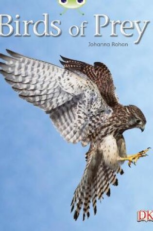 Cover of Bug Club Independent Non Fiction Year Two White A Birds of Prey
