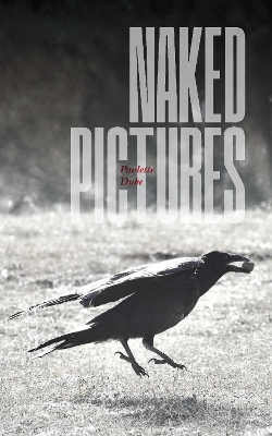 Book cover for Naked Pictures