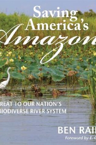 Cover of Saving America's Amazon