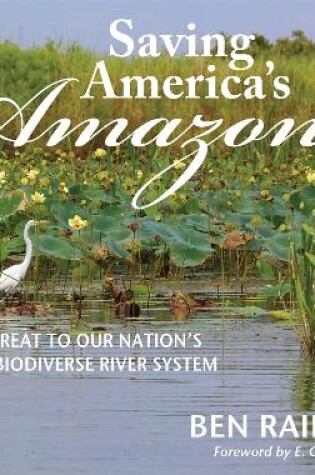 Cover of Saving America's Amazon