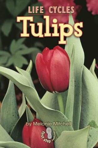 Cover of Tulips