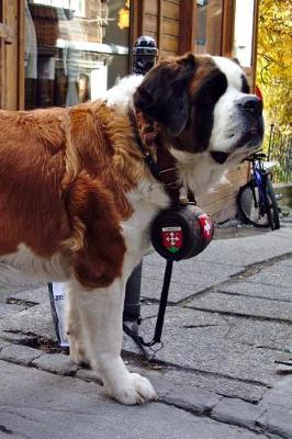 Book cover for St. Bernard Rescue Dog Switzerland Europe Journal