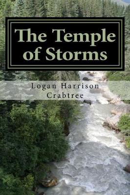 Book cover for The Temple of Storms