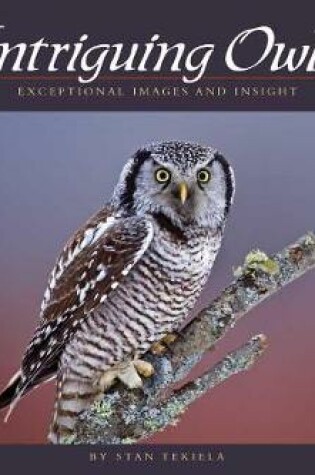 Cover of Intriguing Owls