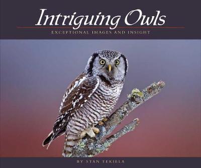 Book cover for Intriguing Owls