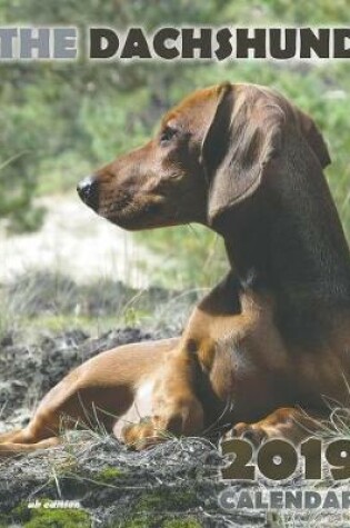 Cover of The Dachshund 2019 Calendar (UK Edition)