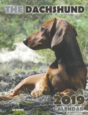 Book cover for The Dachshund 2019 Calendar (UK Edition)