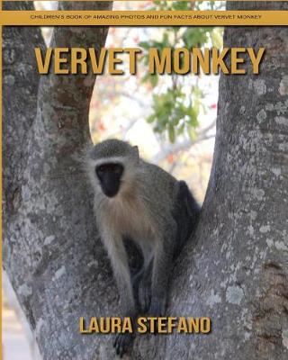 Book cover for Vervet Monkey