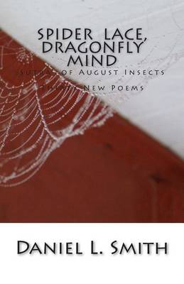 Book cover for Spider Lace, Dragonfly Mind