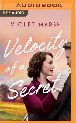 Book cover for Velocity of a Secret