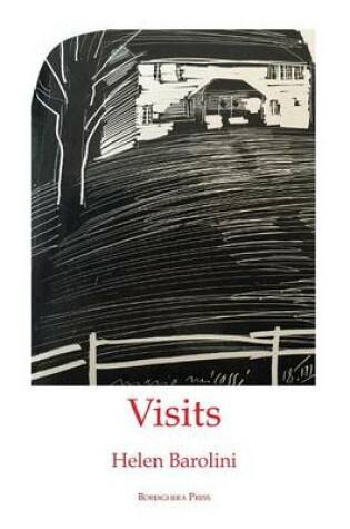 Cover of Visits