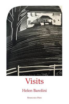 Book cover for Visits