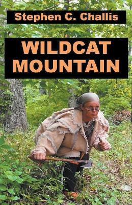 Book cover for Wildcat Mountain