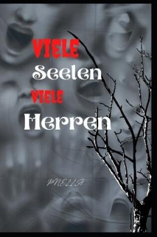 Cover of Viele Seelen, viele Herren