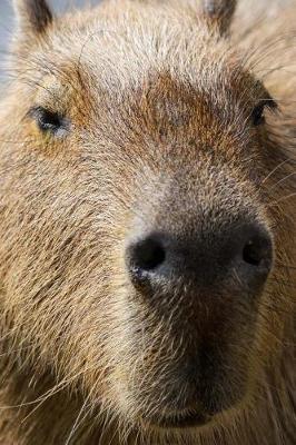 Book cover for Capybara Portrait Journal