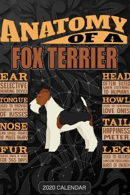Book cover for Anatomy Of A Fox Terrier