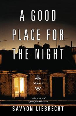 Book cover for A Good Place for the Night