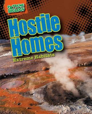 Book cover for Hostile Homes