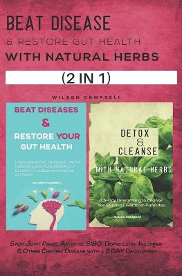 Book cover for Beat Disease & Restore Gut Health with Natural Herbs