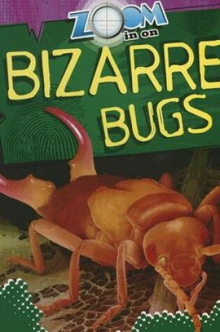 Cover of Zoom in on Bizarre Bugs