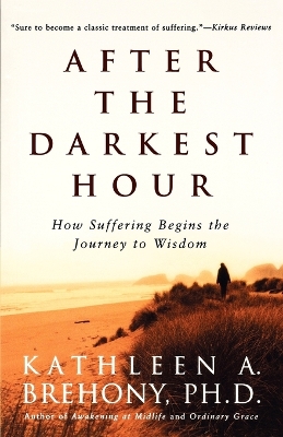 Book cover for After the Darkest Hour