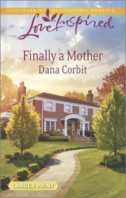 Book cover for Finally a Mother