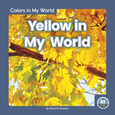 Book cover for Colors in My World: Yellow in My World