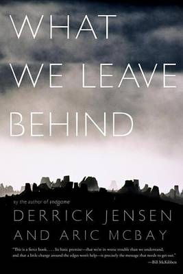 Book cover for What We Leave Behind