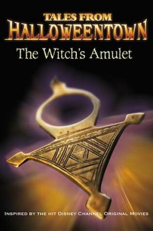 Cover of The Witch's Amulet