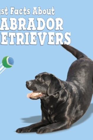 Cover of Fast Facts About Labradors