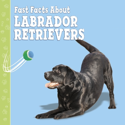 Book cover for Fast Facts About Labradors