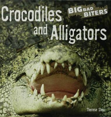 Book cover for Crocodiles and Alligators