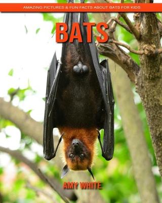 Book cover for Bats