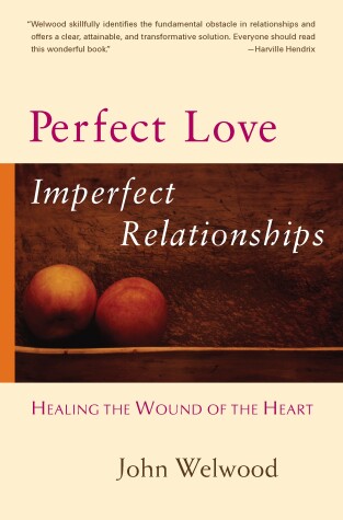 Book cover for Perfect Love, Imperfect Relationships