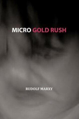 Cover of Micro Gold Rush