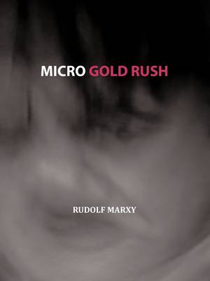 Book cover for Micro Gold Rush