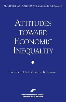 Cover of Public Attitudes on Economic Inequality