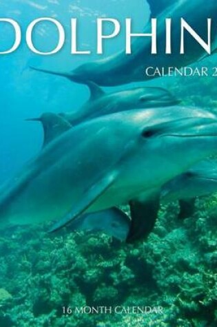 Cover of Dolphins Calendar 2017