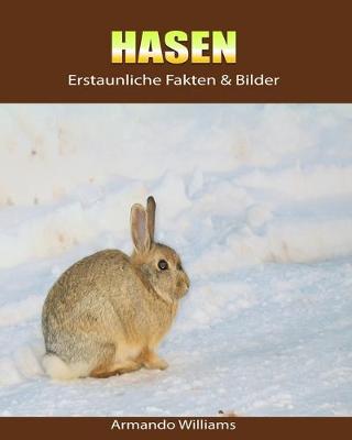 Book cover for Hasen