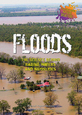 Book cover for Floods