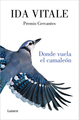 Book cover for Donde vuela el camaleón / Where the Chameleon Flies