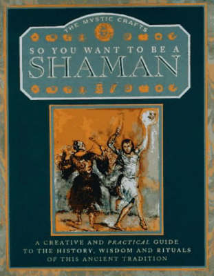 Book cover for So You Want to be a Shaman