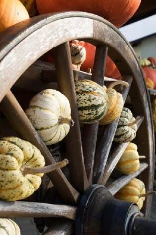 Cover of Autumn Squash on a Wagon Wheel Journal