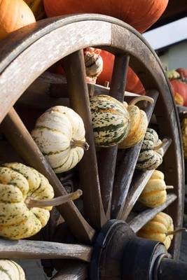 Book cover for Autumn Squash on a Wagon Wheel Journal